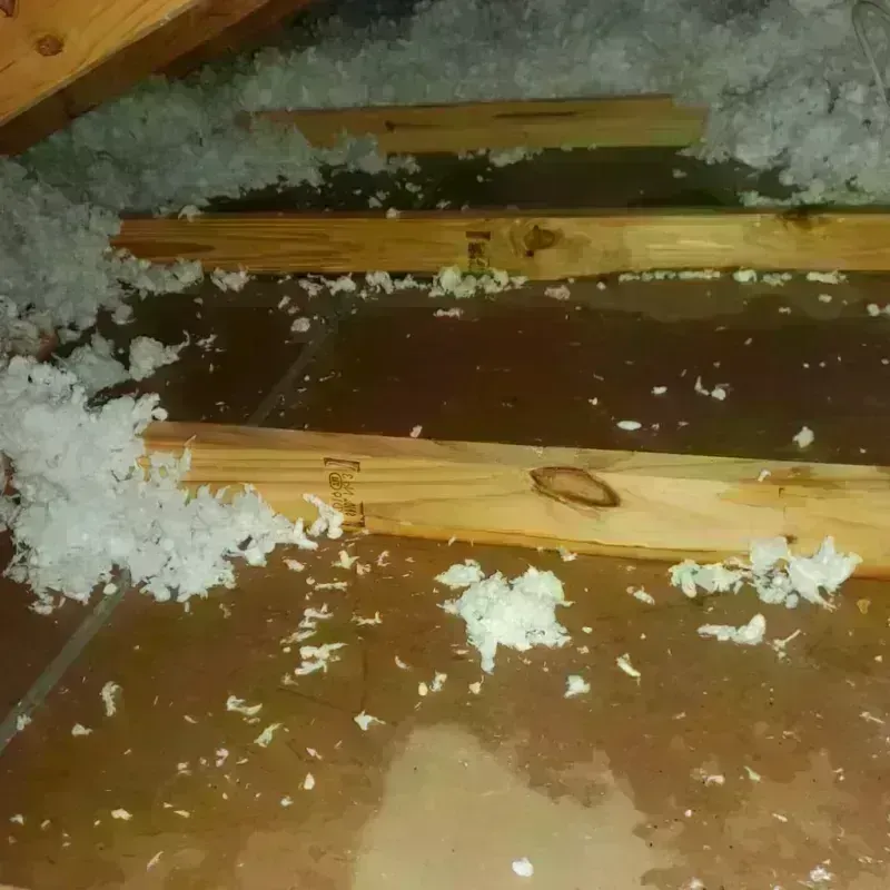 Attic Water Damage in Karnes County, TX